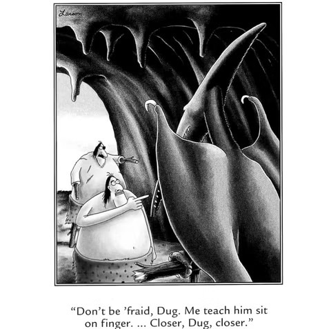 Far Side – meme