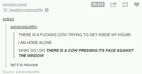 Mooove – meme