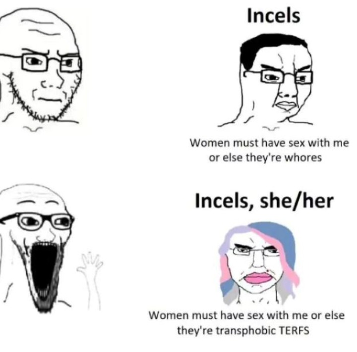 Still an Incel – meme