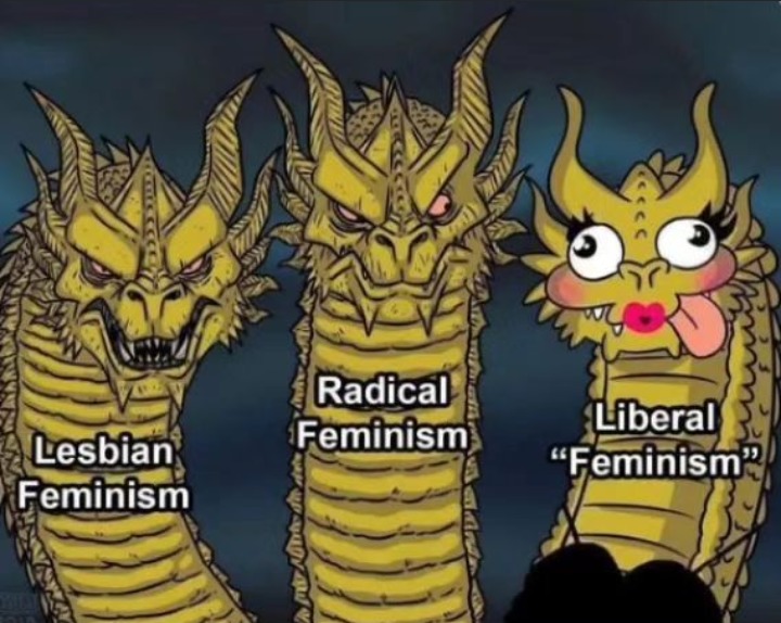 Feminism – meme