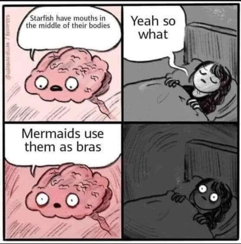 starfish – meme