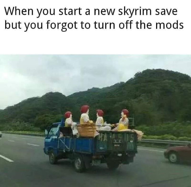 Skyrim Mods be like – meme