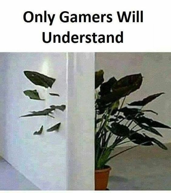 Only for gamers – meme