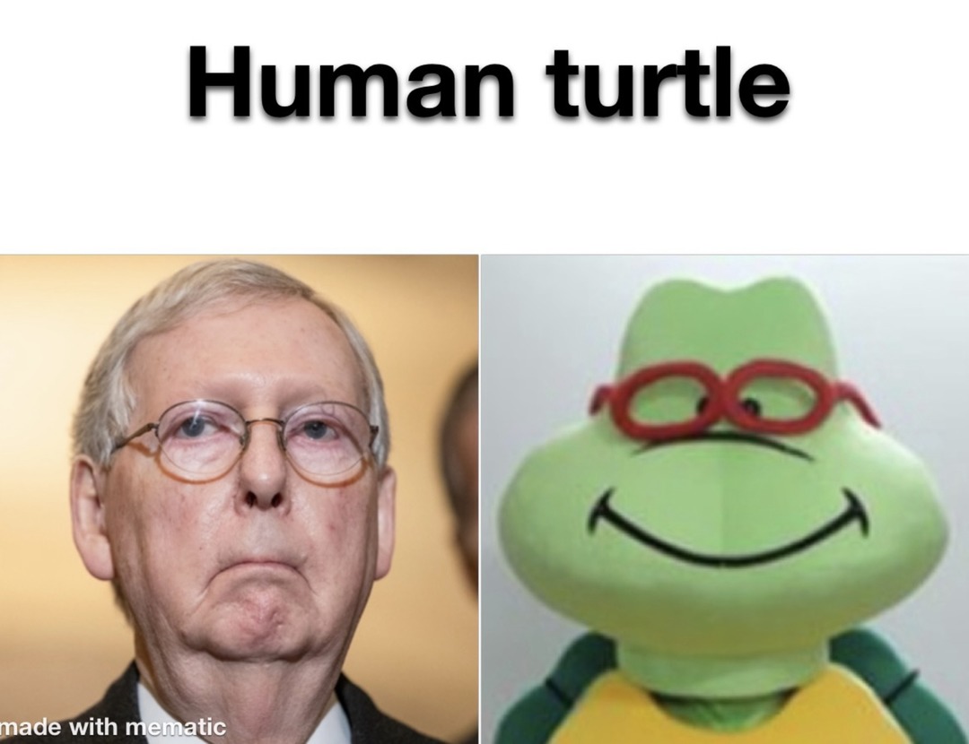 Turtles just take more time to think – meme