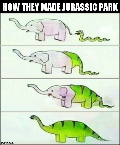 Dinosaur Explanation ?