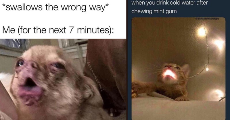 40 Uproarious Memes That Aim To Entertain