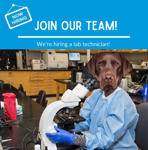 Lab Technician – meme