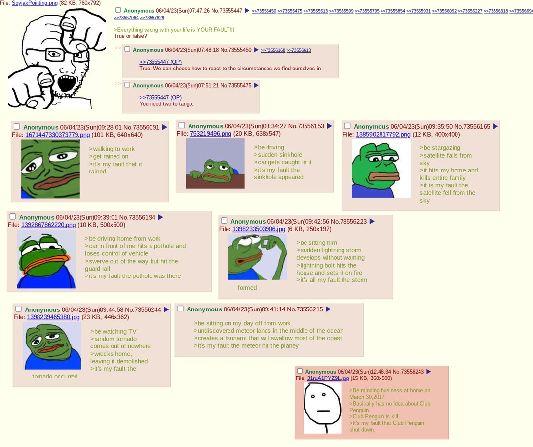 Anon,is it really your fault? – meme