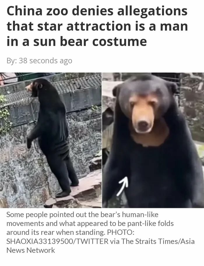 Sun Bear got no ass – meme