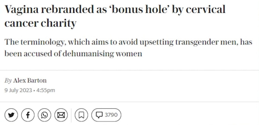 Bonus hole – meme