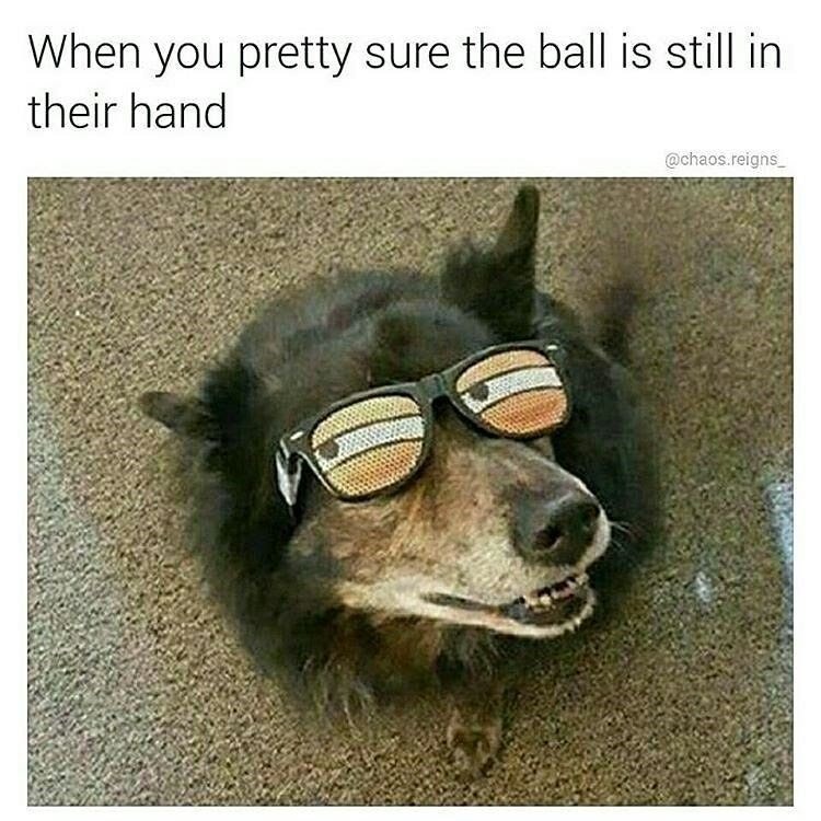 Not sure if doggo or bamboozled – meme