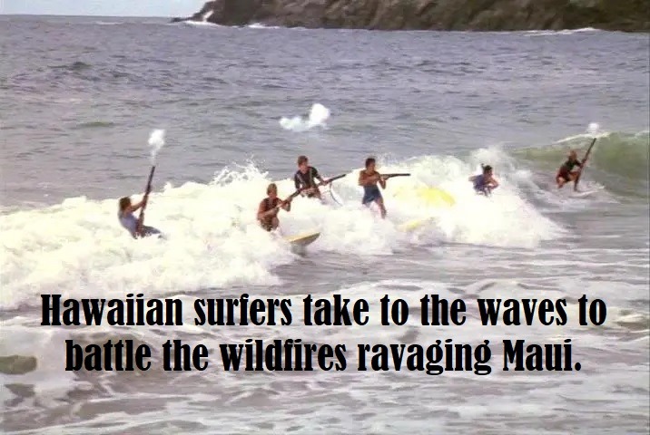 Surfers: not the best firefighters – meme