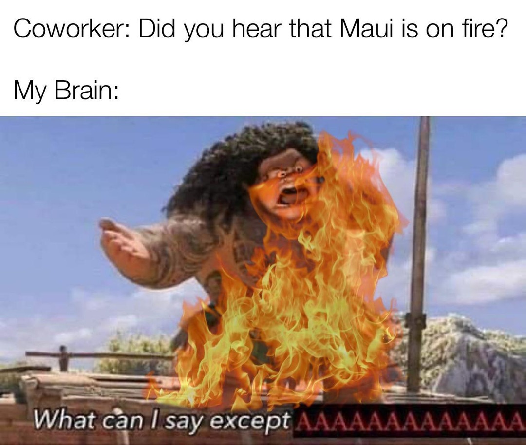 Poor maui – meme