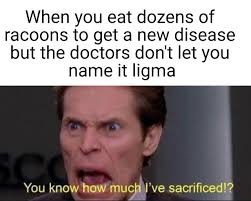 Ligma – meme