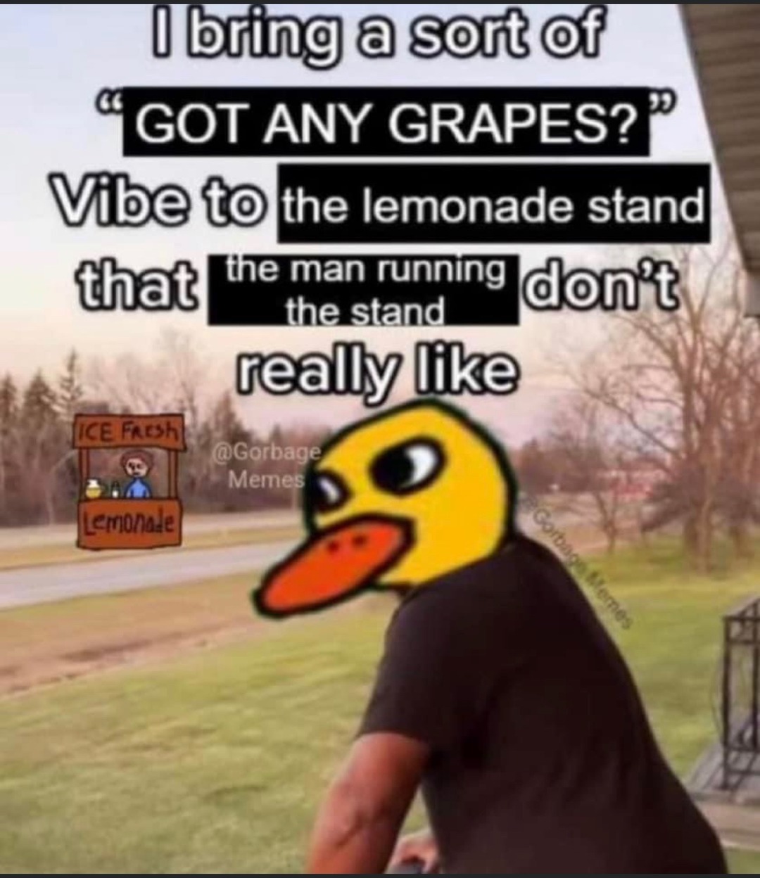 got any grapes? – meme