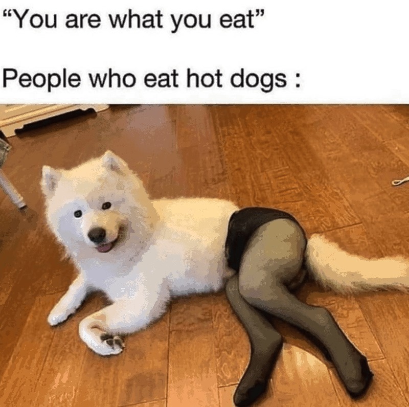 Hot dogs – meme