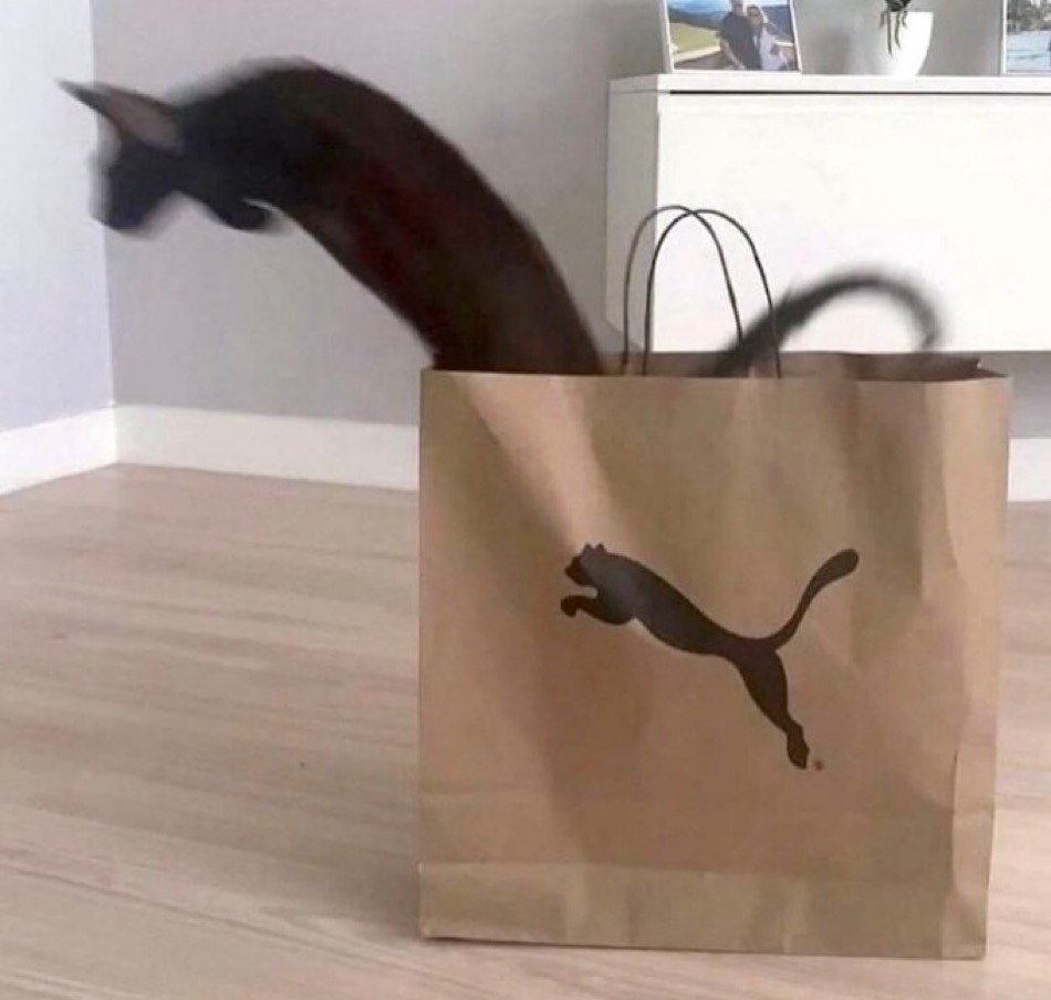 Puma – meme