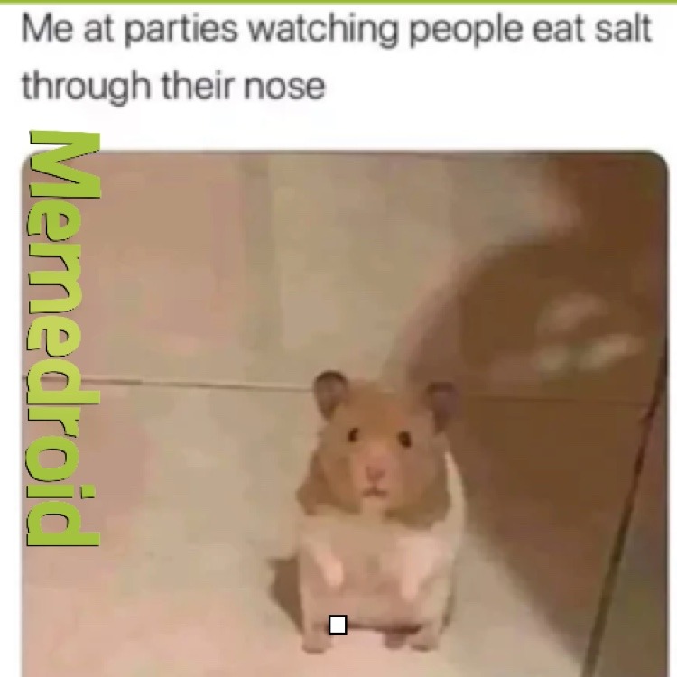 yes salt – meme