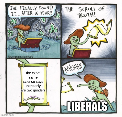 libs when – meme