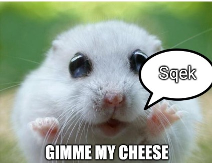 gimme cheeeese!! – meme