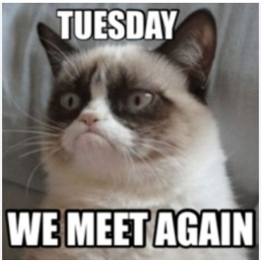 TUESDAY!!!! – meme