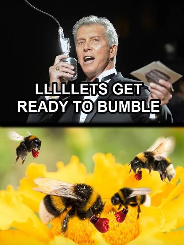 Bees – meme