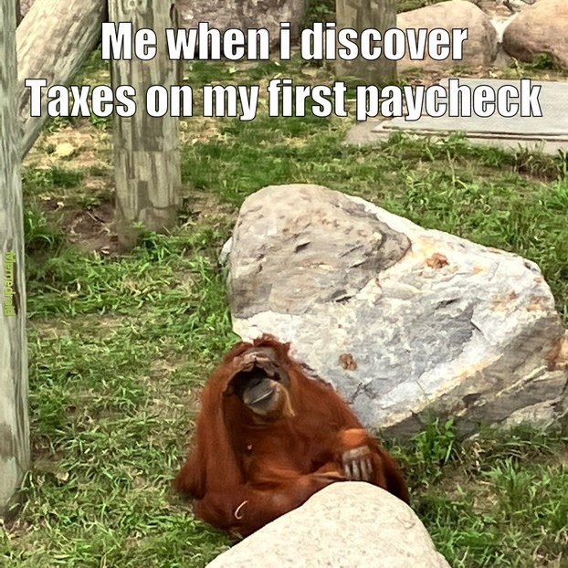 taxes suck – meme