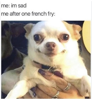 French fries make things better – meme