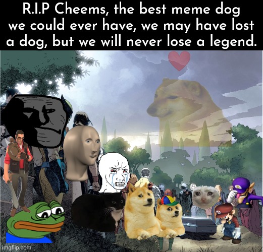 We will miss you, Cheems