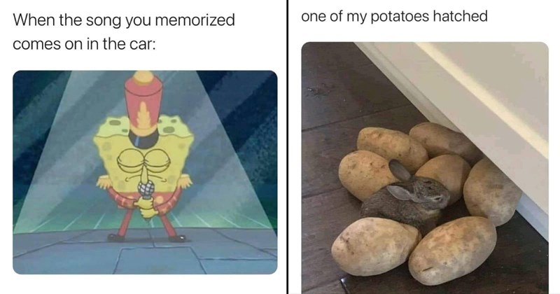 The Best Heartwarmingly Wholesome Memes and Posts of the Week (August 3, 2023)