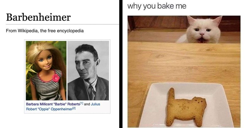 Nearly 30 Memes For a Totally Normal Thursday