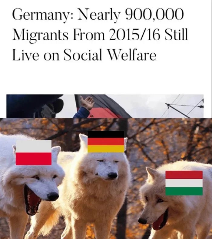 Germany – meme