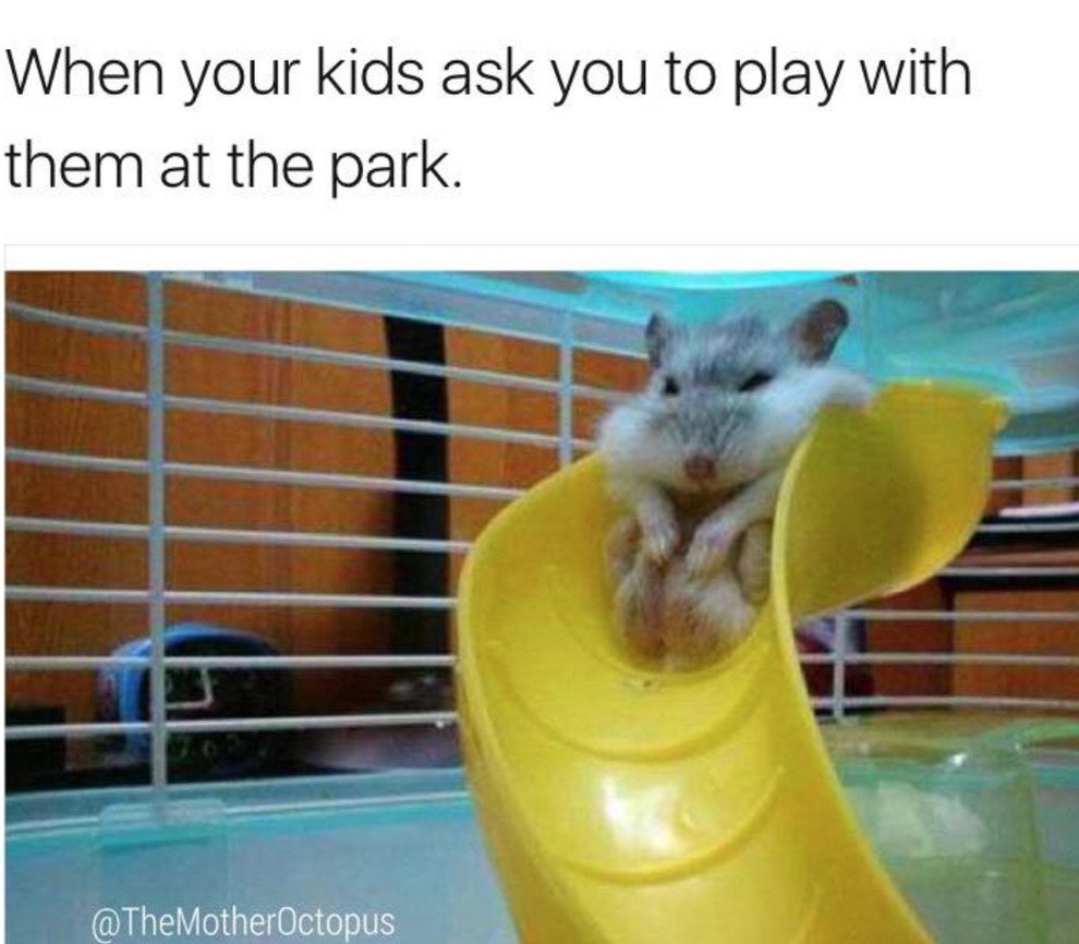 When your kids ask you to play with them at the park – meme