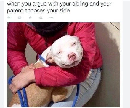 When you’re the older sibling and this happens, ITS AMAZING!!! haha – meme