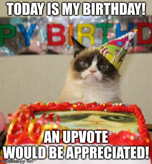 Grumpy Cat Birthday