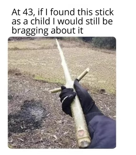 If I found this stick I might brag too lol – meme