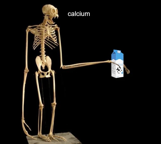 Calcium – meme