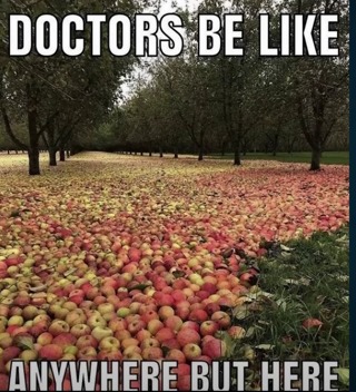 An apple a day keeps the Doctor away – meme