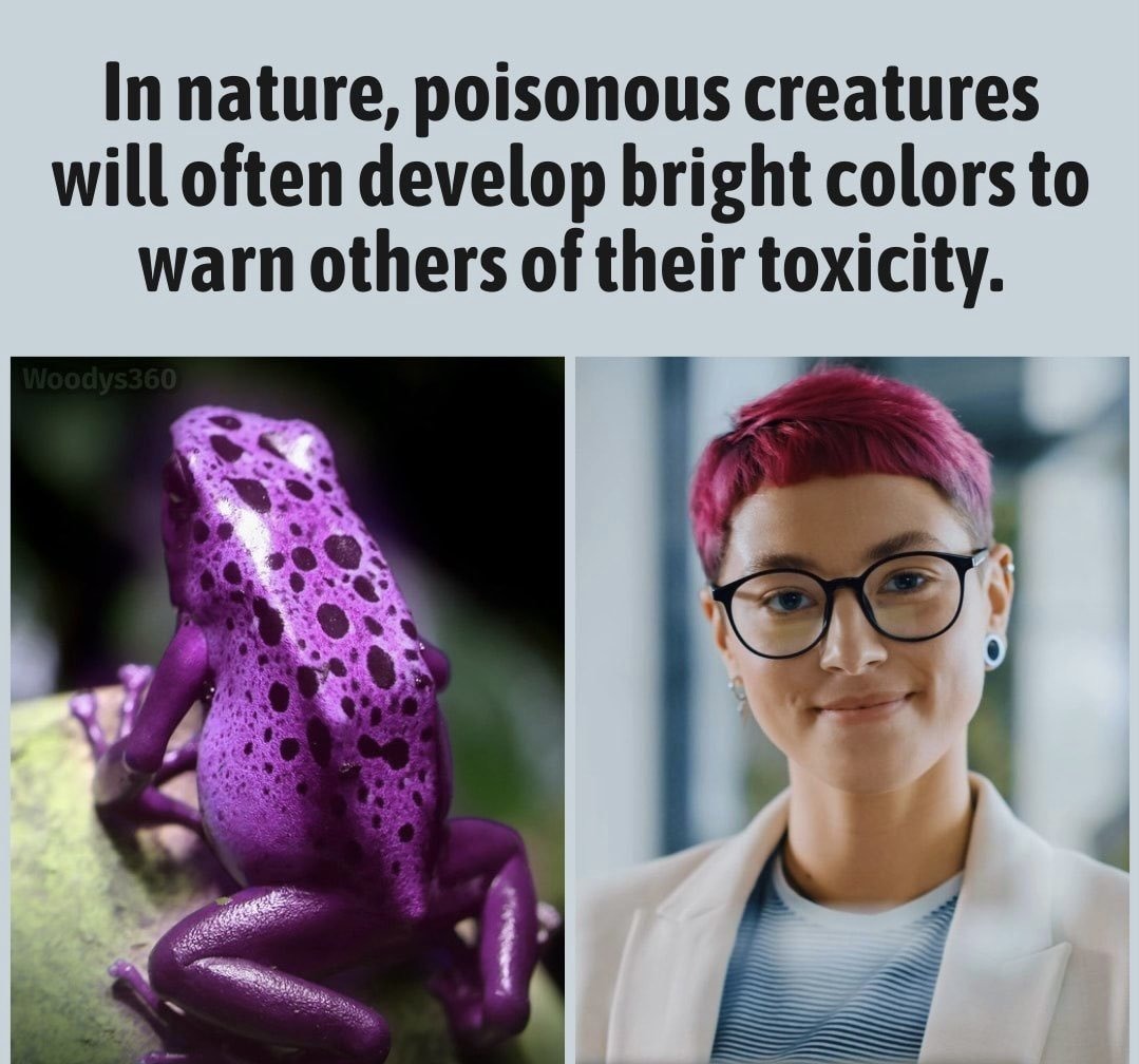 Poisonous creatures toxic – meme