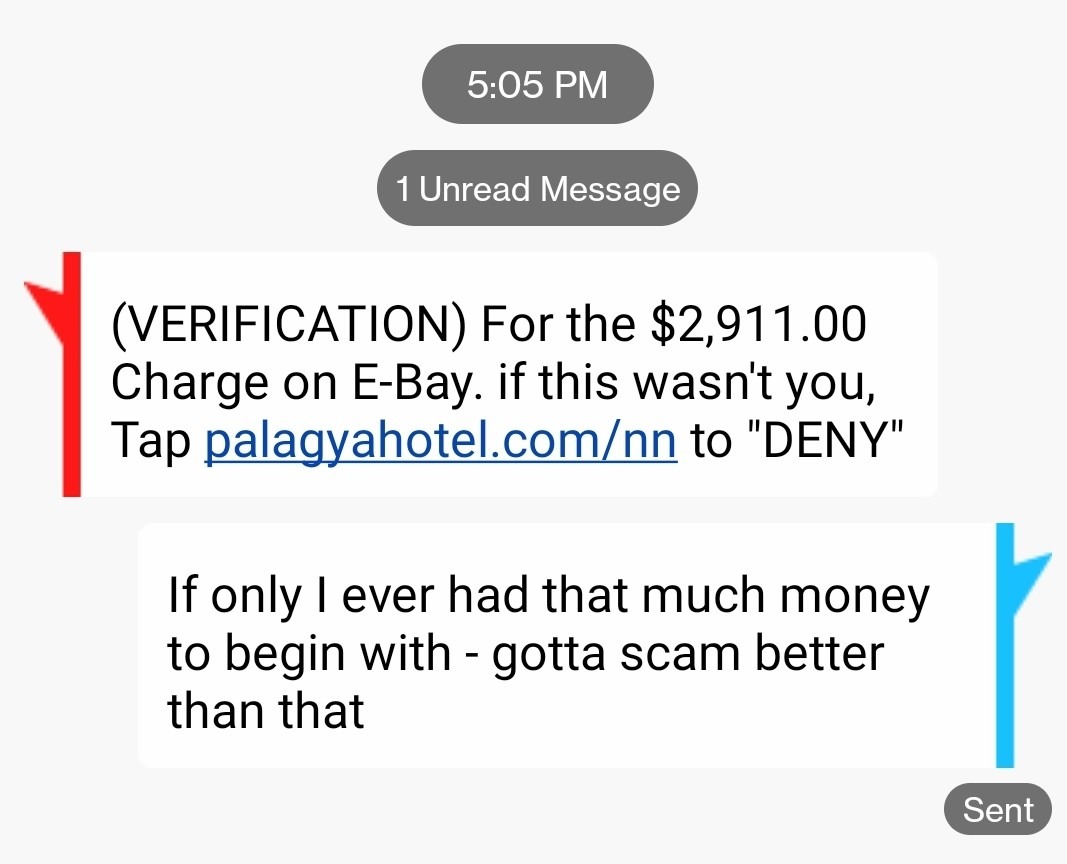 Scammers not even trying anymore – meme