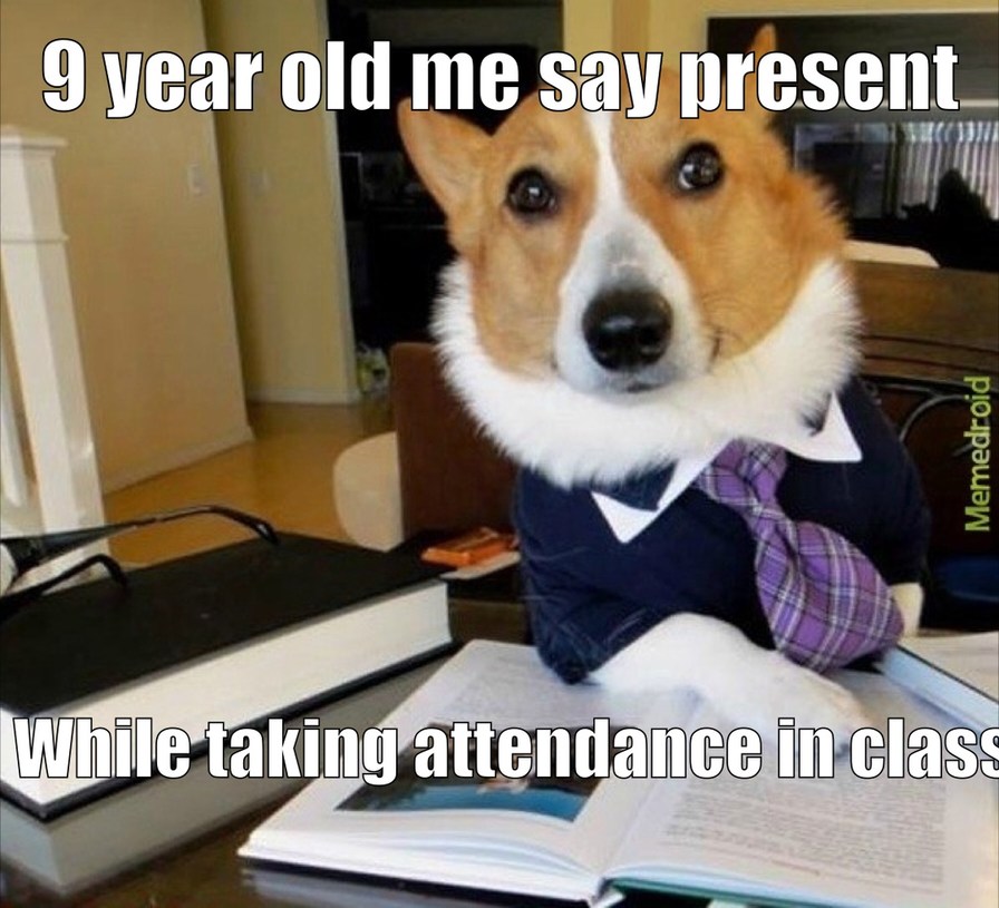 Lawyer Dog – meme