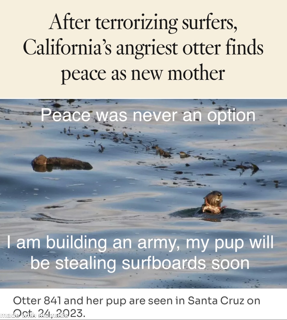 Surfboard stealing otter, had a baby – meme