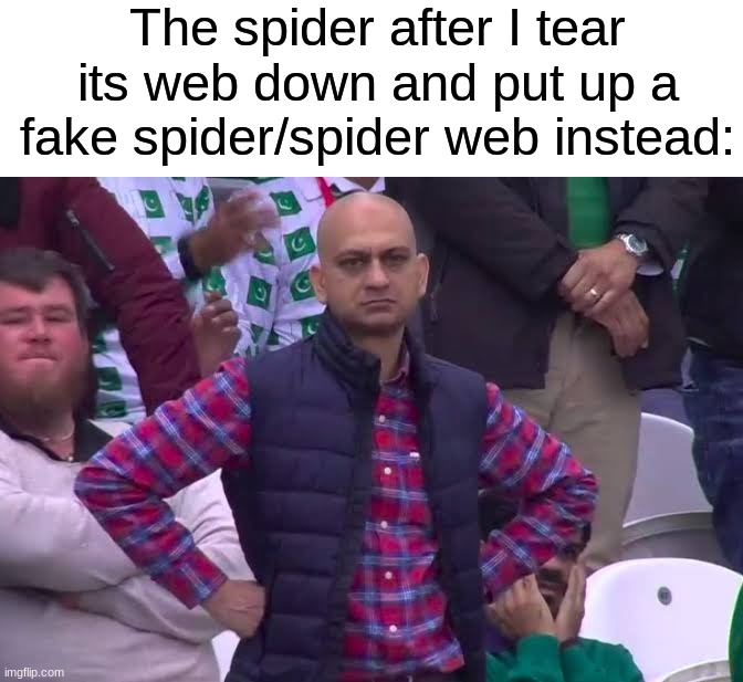 Poor spider lmao