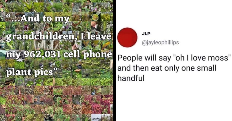 Plant Memes for Nature-Loving Gardeners and Outdoorsy Types