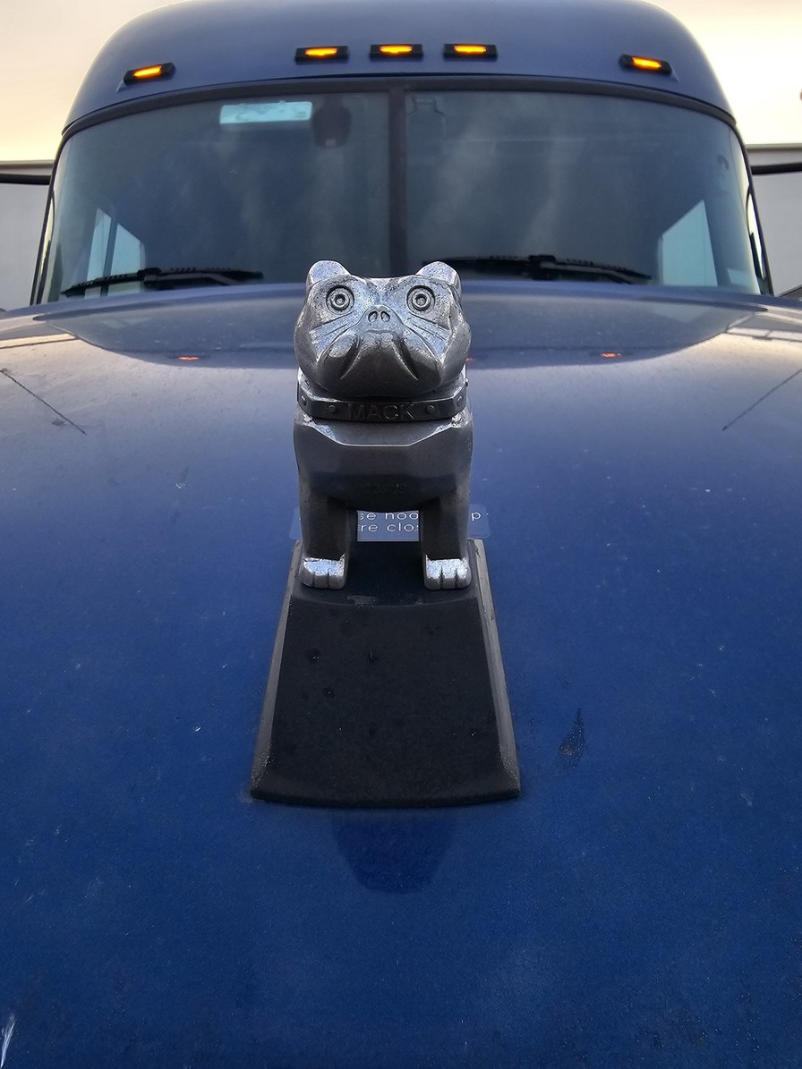 Invest in my hood ornament after his first time in CA – meme