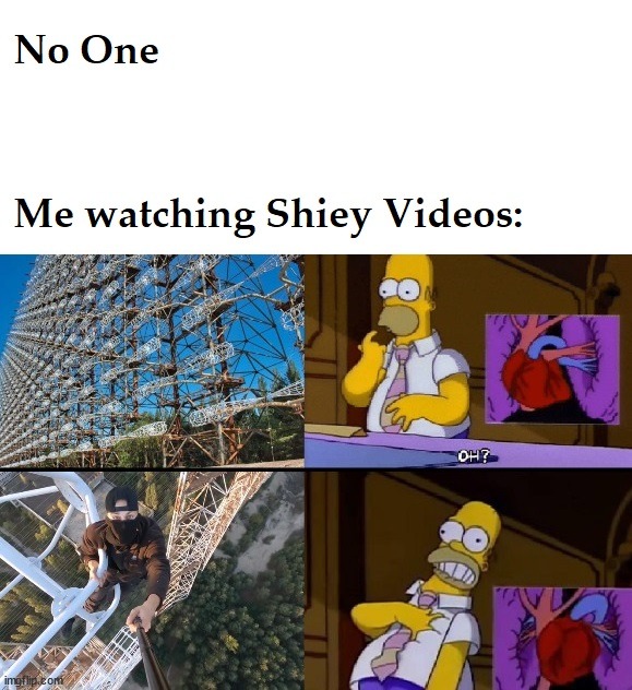 Shiey gives me Nightmares – meme