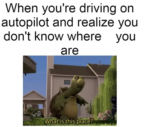 Driving on autopilot be like – meme