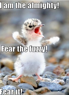 FEAR THE FUZZY CREATURE!! – meme