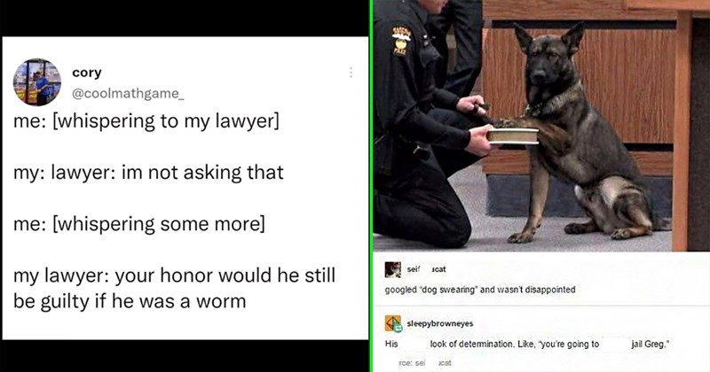 25 Objectively Funny Lawyer Memes & Tweets That Rest the Defense, Your Honor