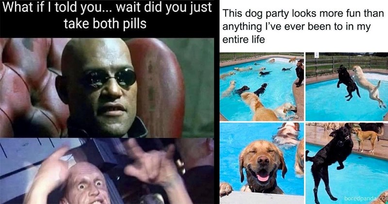 40+ Memes That Spread Like a Rash